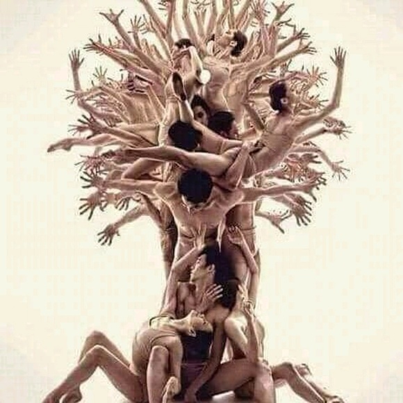 Meet your Posher, Philippa - Picture 1 of 1